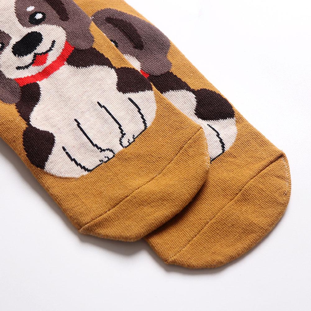 dog socks for women