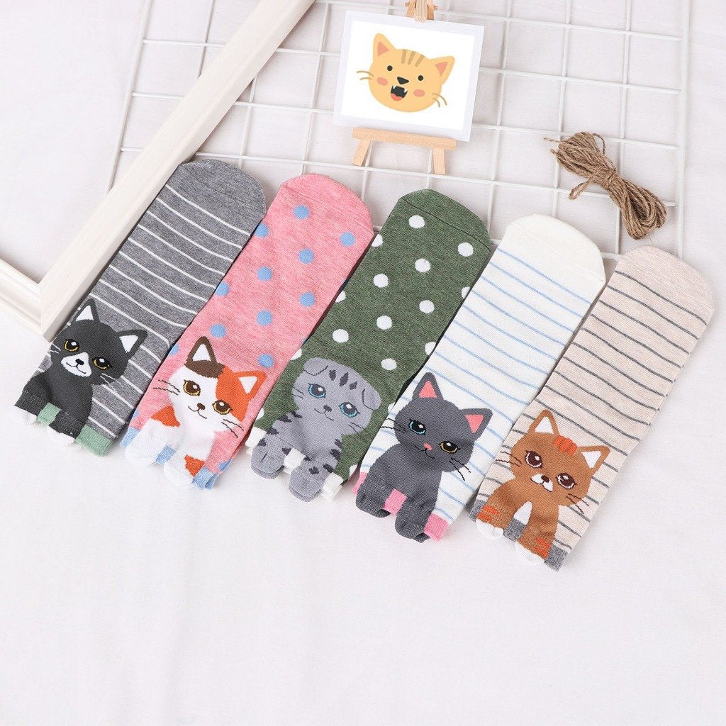 5 stripes cat socks